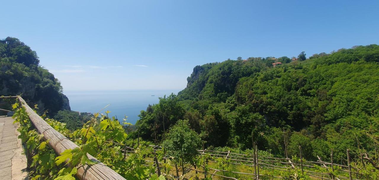 Bed and Breakfast La Cicogna Аджерола Экстерьер фото